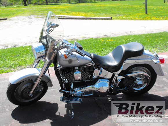 2002 Harley-Davidson FLSTF Fat Boy photo
